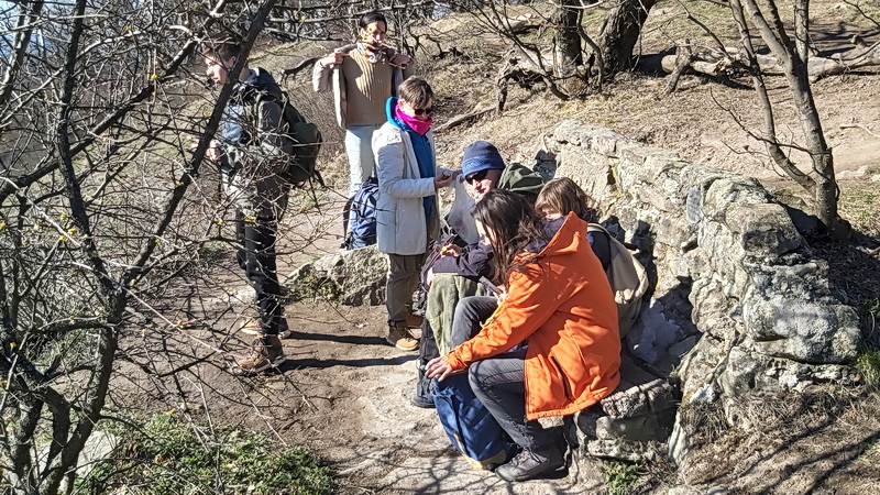 Tavaszi túra a Visegrádi-hegységben Leányfalu-Vöröskő-Visegrád között