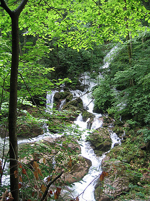 Ausztria - Bärenschutzklamm 4.