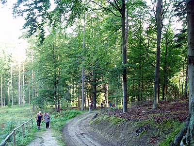 Túrázz és ünnepelj velünk! - Hármashatár - Fel a Hármashatárra