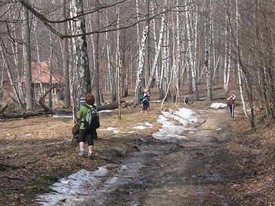 Húsvéti locsolótúra Zemplénben - Az Istvánkúti nyíres