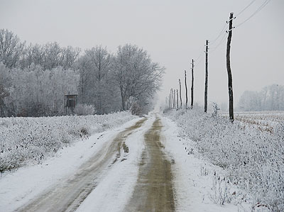 Hodosi határnyitás - A szálláshelyhez vezető út