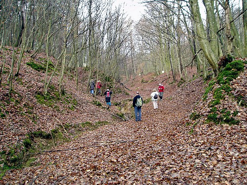 Óév-búcsúztató 2009. - Hodos