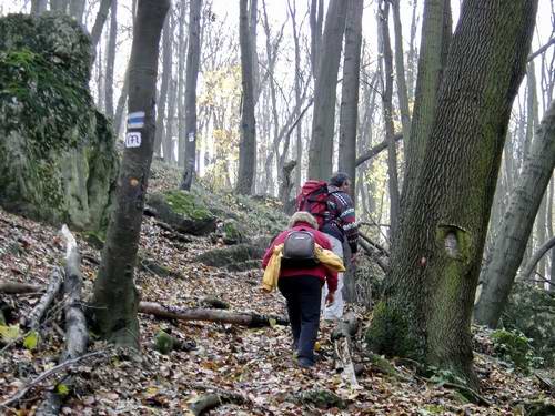 Túrázz és ünnepelj velünk! - Csákányospusztai turistaház