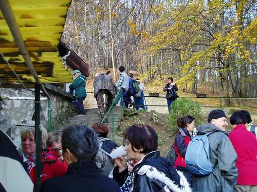 Túrázz és ünnepelj velünk! - Csákányospusztai turistaház