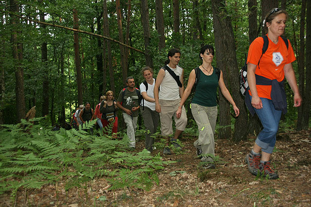 Őrség - Goričko túra 2010 - Árnyas erdőben