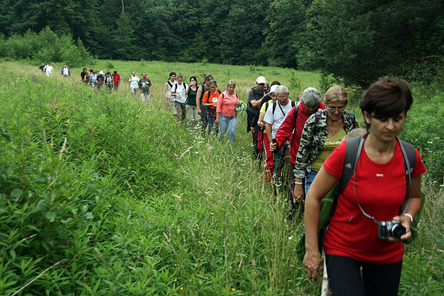 Őrség - Goričko túra 2010 - Derékig érő fűben