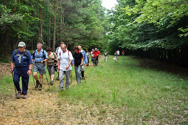 Őrség - Goričko túra 2010 - Kényelmes nyiladékban