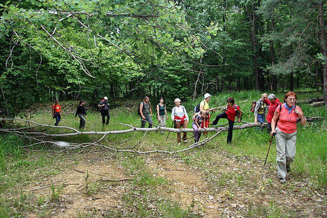 Őrség - Goričko túra 2010 - Akadály