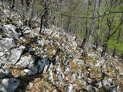 Locsoló túra a Bükkben - Karrmező