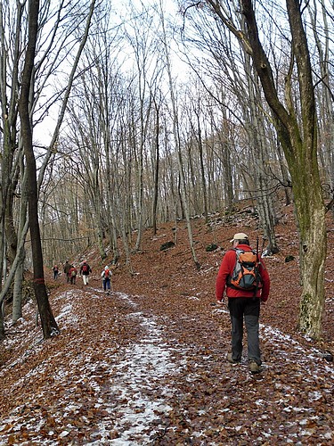 A régi bányavasút töltésén