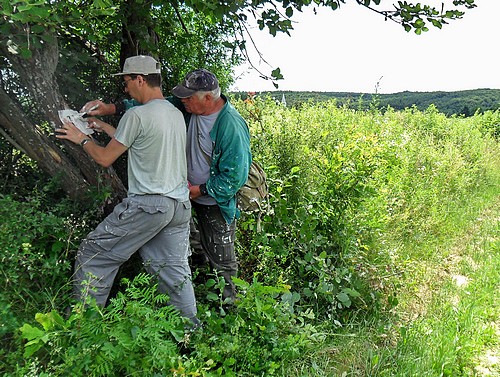 Őrségi festés - Kercaszomor határában