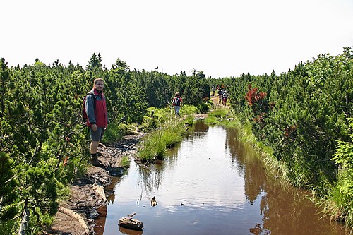 Egy kis vizenyő a gerincen