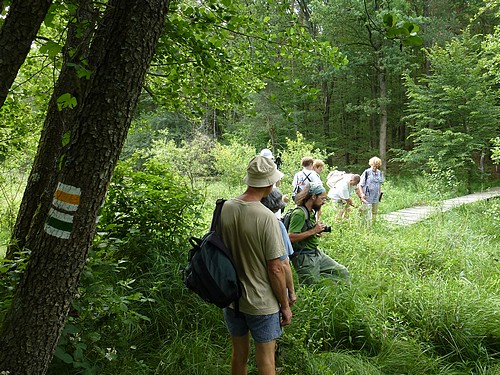 Őrség-Goričko túra - Az államhatáron átvezető turistajelzések