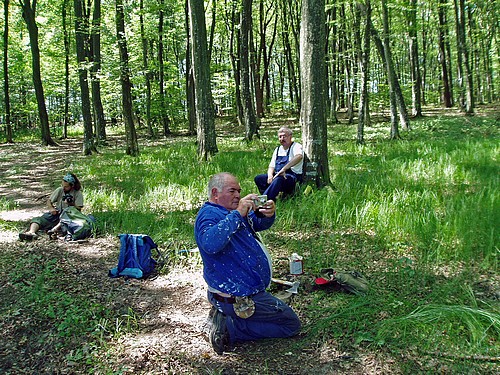 Őrségi festés - Pihenő