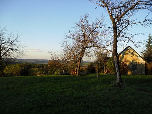 Ősz a Gurgó-hegyen