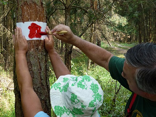 Örségi festés - A Mária-kerthez vezető kápolna jel festése