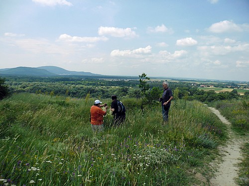 60. Szlovák Turista Találkozó Pozsony - A Devinska Kobyla tanösvényen