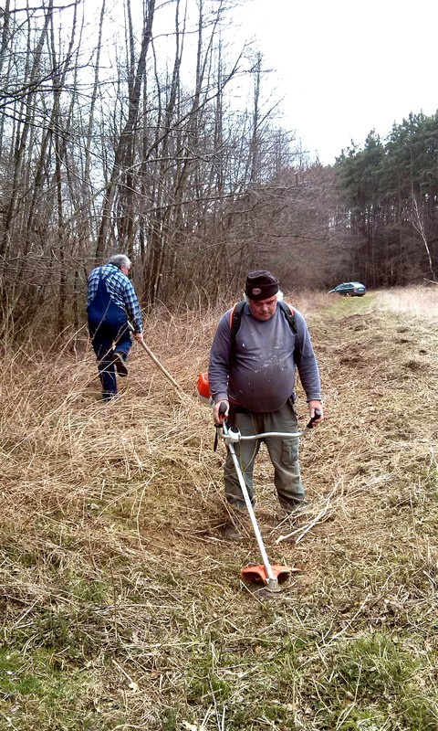 Volt, ahol motoros kaszát kellett bevetnünk