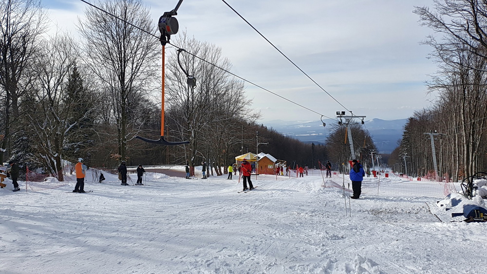 A nyugati sípálya