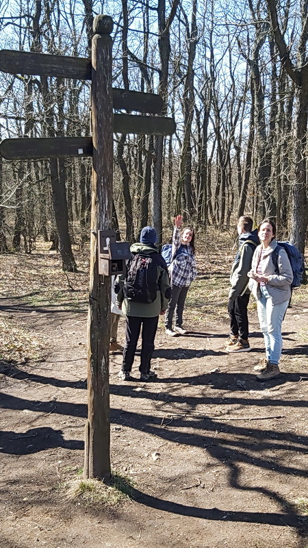 Tavaszi túra a Visegrádi-hegységben Leányfalu-Vöröskő-Visegrád között