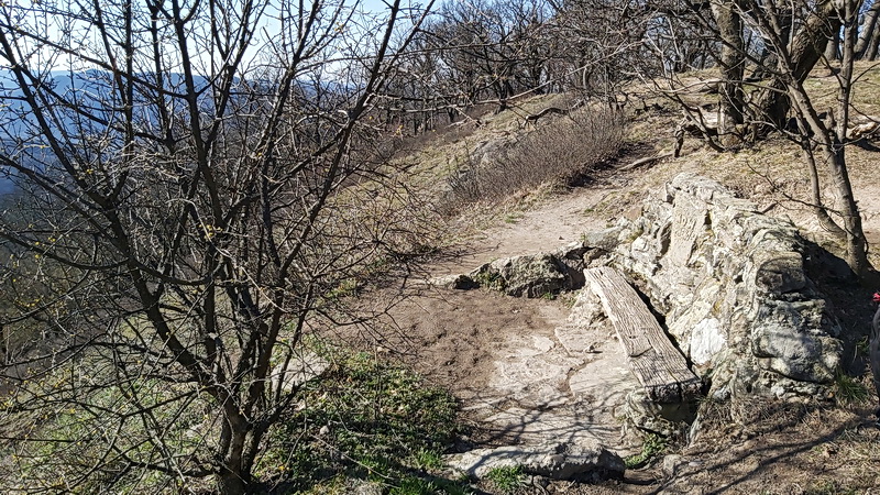 Tavaszi túra a Visegrádi-hegységben Leányfalu-Vöröskő-Visegrád között