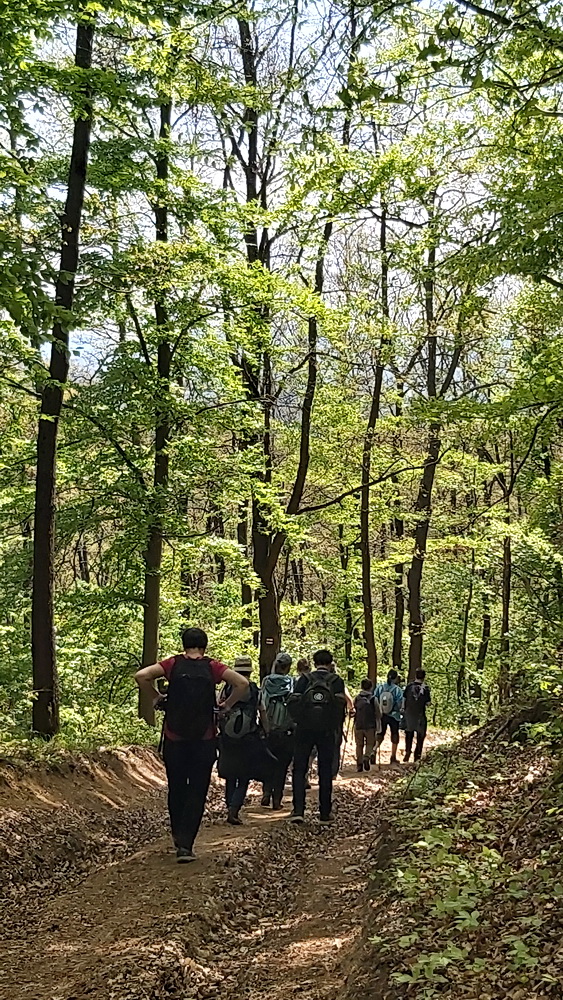 Tavaszi túra Nógrádban