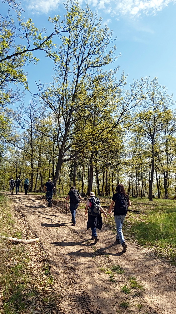 Tavaszi túra Nógrádban