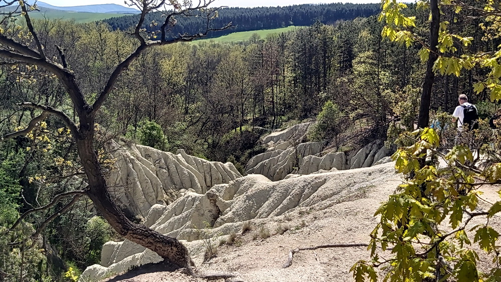 Tavaszi túra Nógrádban