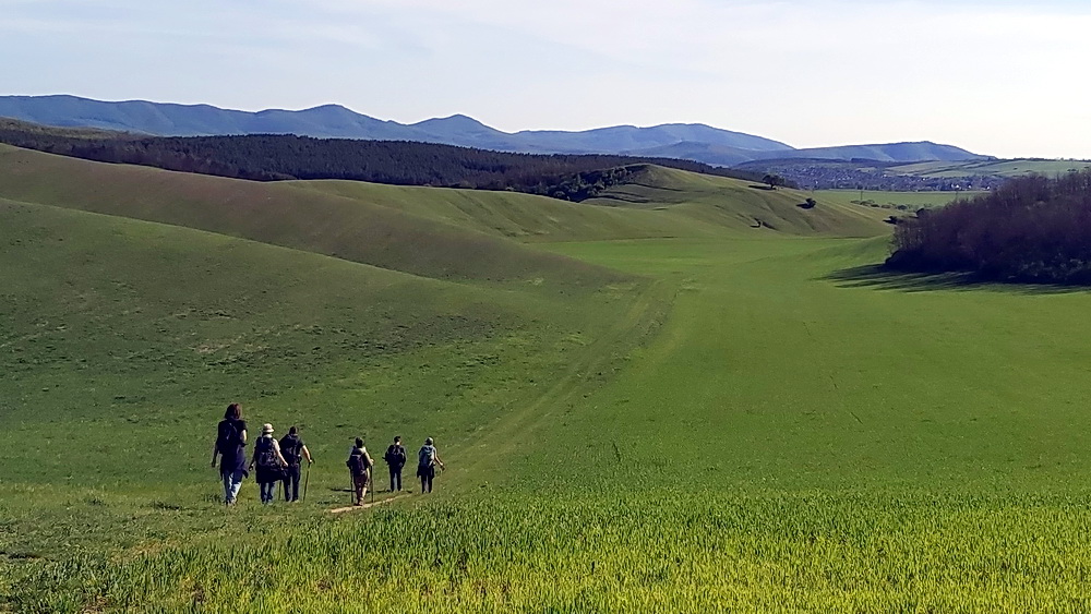 Tavaszi túra Nógrádban