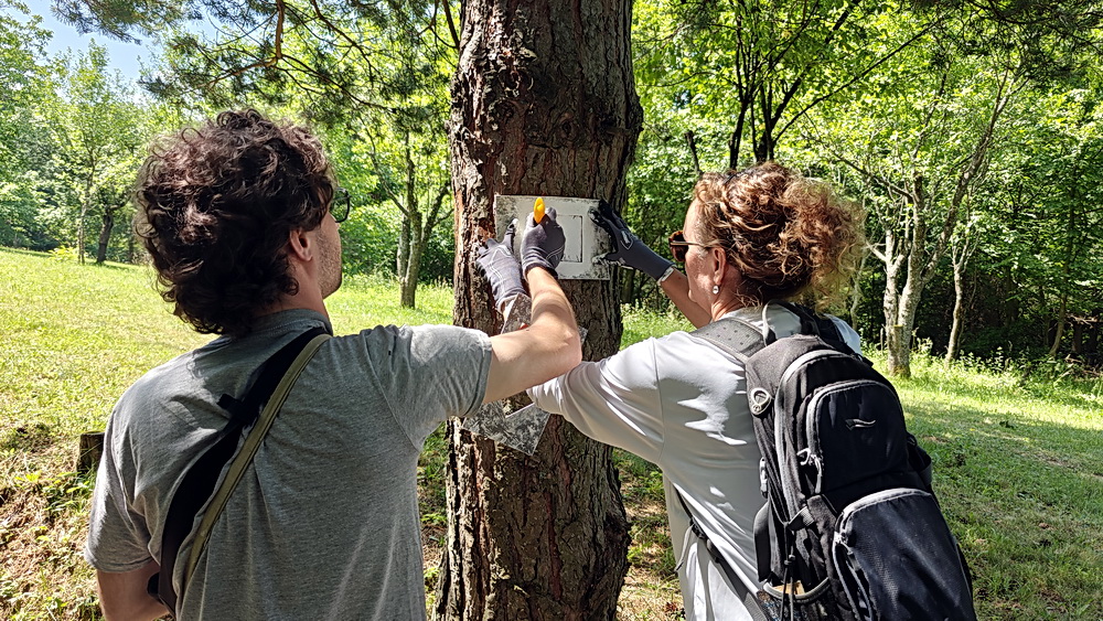 Őrségi turistaút-festés