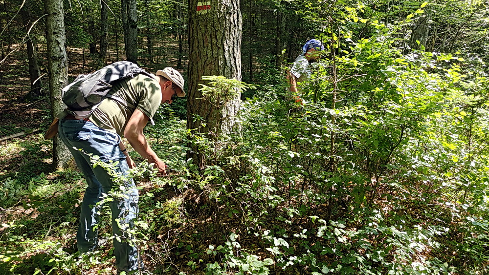 Őrségi turistaút-festés