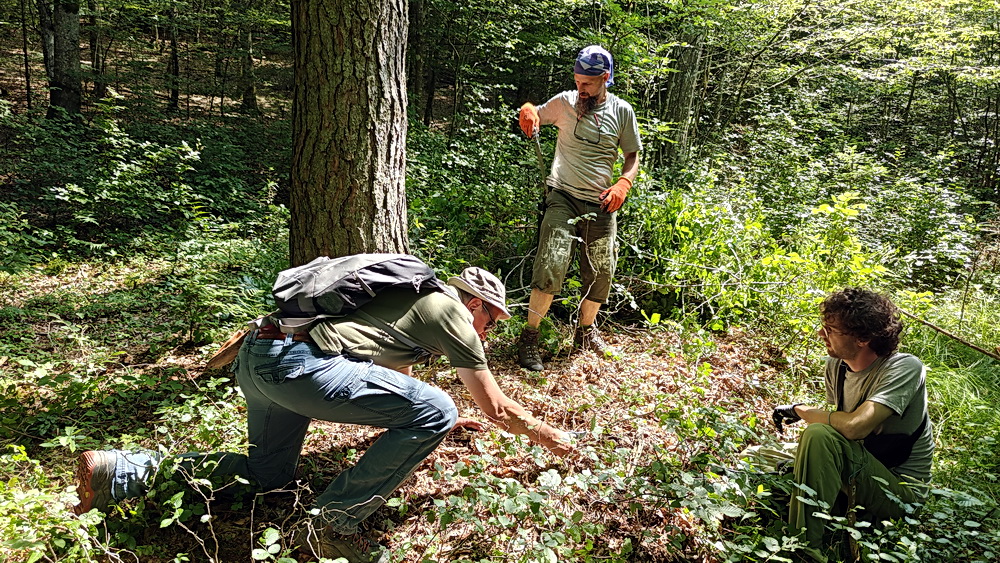 Őrségi turistaút-festés