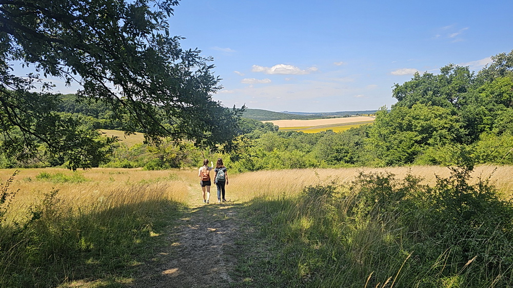 Bakonyi barangolások romokkal