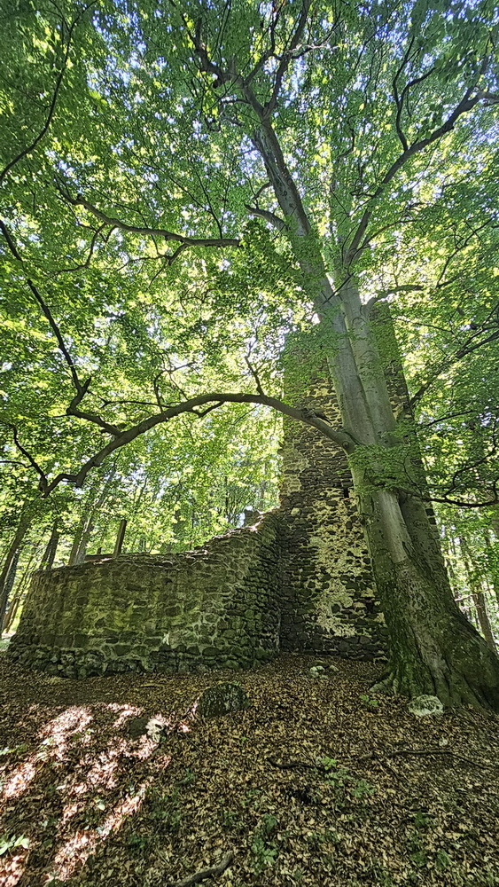 Bakonyi barangolások romokkal