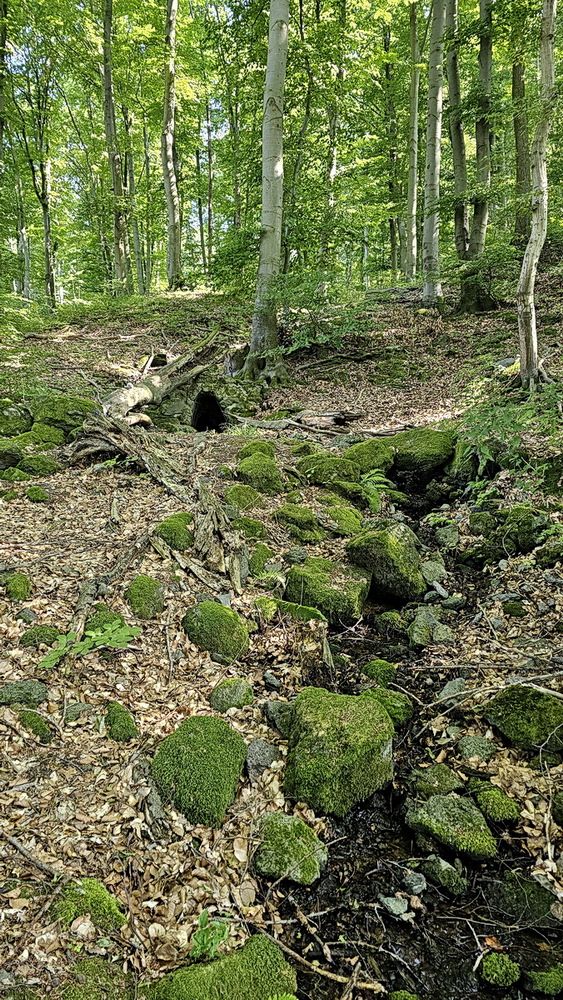 Bakonyi barangolások romokkal