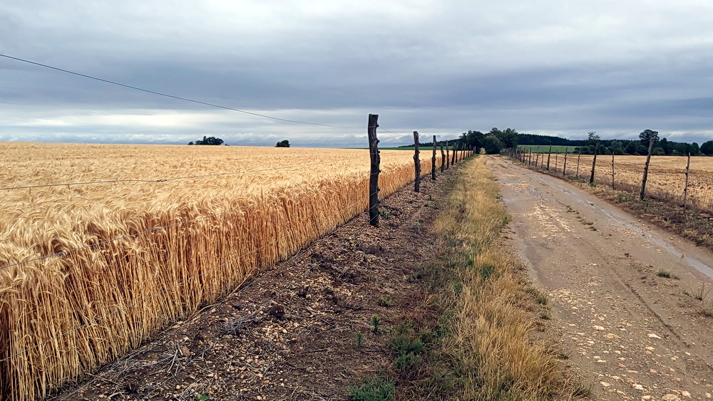 Rockenbauer Pál Dél-dunántúli Kéktúra