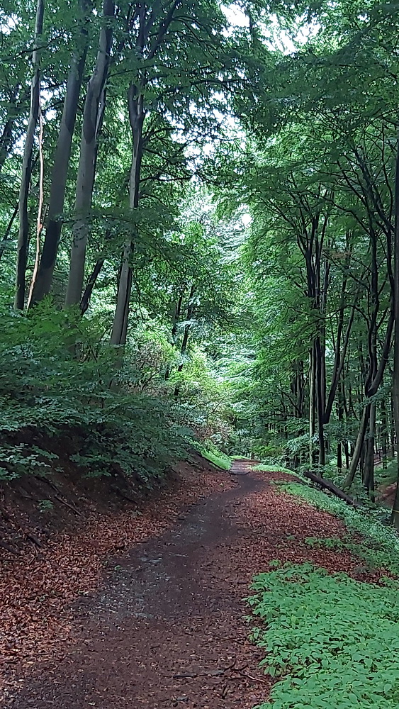 Rockenbauer Pál Dél-dunántúli Kéktúra