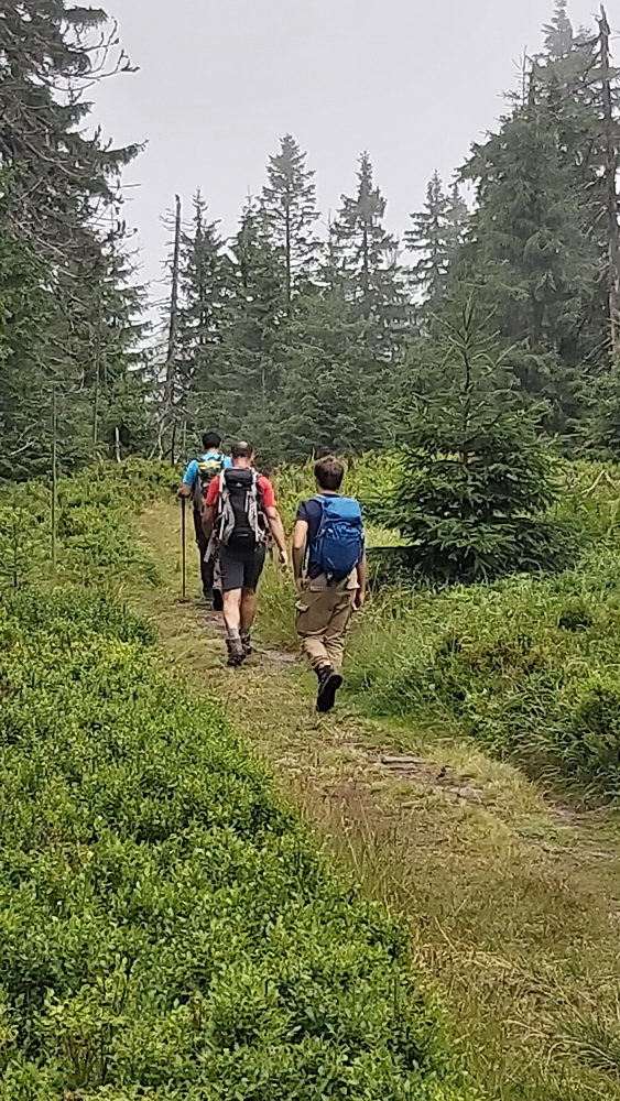 Túra a Kis-Fátrában