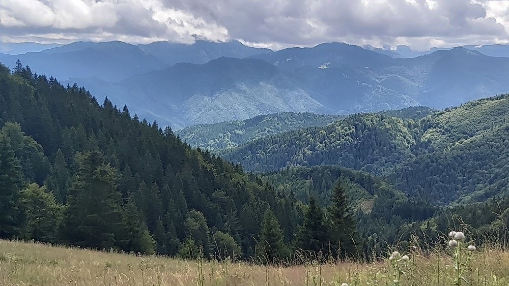 Túra a Kis-Fátrában