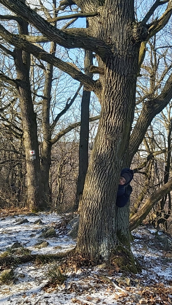 Óévbúcsúztató nyílt túra a Visegrádi-hegységben